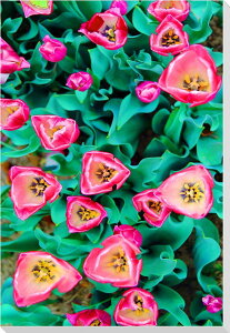 iʐ^pl `[bv A[gpl NXn CeA OtBbN fBXvC pl ʐ^ Mtg v[g j  V oY a w  l AE LO 