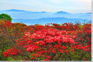 iʐ^pl  ĎR  2 ʉ摜 {^jJ A[gpl pl ʐ^ CeA v[g Mtg j  Vz z a LO Nj zv炸 Ǌ| 