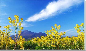 iʐ^pl   ֒R ؂̉ ʉ摜 CeA A[gpl pl ʐ^ Ǐ Ǌ| zv炸 ͗lւ ͋C   rO ItBX Vz z V 