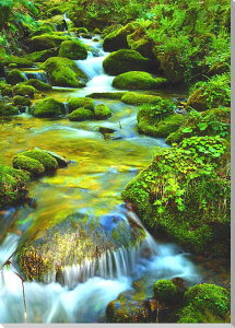 iʐ^pl   mR V΂̑ 02 A[gpl CeA pl ʐ^ Ǐ Ǌ| zv炸 ͗lւ ͋C  rO ItBX ̎vo  v[g Mt