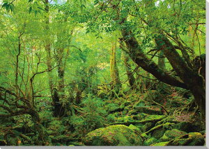 EY m̃AvX v J_ ̂̂P̐X Iv Â̐X R M NXn j Mtg v[g LO vo CeA Ǐ Ǌ| zv炸 ͗lւ 