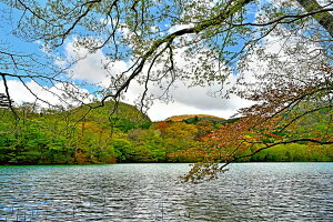 iʐ^pl  y j V΂ƎR {^jJ CeA A[gpl ʐ^  iF pl Ǐ Ǌ| zv炸 ͗lւ ͋C  ̎vo rO ItBX  