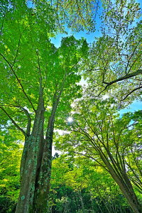 iʐ^pl s Âܑ^ OƖؘR02 CeA A[gpl pl ʐ^ i v[g Mtg j j Vzj zj aj ̓ ̓