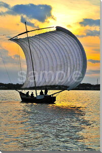 iʐ^|X^[ Y D 05 v[g Mtg j  Vz a LO Nj pst-hohiki-a23