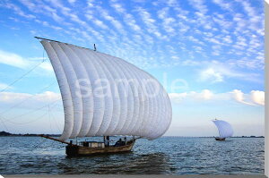 |XgJ[h  PY _ƔD PST-147 iʐ^ nKL t   c  A O[eBOJ[h