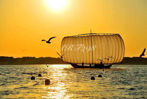 iʐ^pl  Y JƗ[̔M ʉ摜 厩R u  ₵ A[gpl OtBbNA[g CeA pl ʐ^ v[g Mtg i j