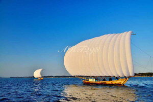 iʐ^pl  Y Dƒ}gR XJCu[ 厩R u  ₵ CeA A[gpl OtBbNA[g pl ʐ^ v[g Mtg i j  