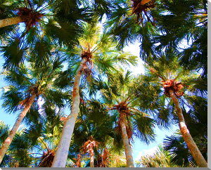 iʐ^pl  k哌  _CgErE A[gpl CeA EH[A[g pl ʐ^  fUCi[Y _A[g Ǐ Ǌ| zv炸 ͗lւ ͋C