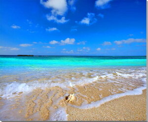 iʐ^pl  gƊԓ jVlƊL v[g Mtg i ԗ j  Vz z a LO Nj CeA A[gplEH[fR ʐ^ zv炸 Ǌ| 