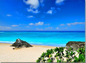 iʐ^pl  gƊԓ ΂fjVl EH[fR CeA zv炸 Ǌ| Ǐ G OtBbN A[gpl ₵̑ htr-030-p25