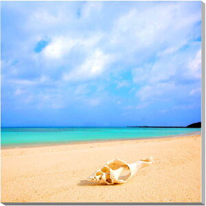 iʐ^pl  gƊԓ jVl̃GhO[̊CƊL v[g Mtg i ԗ j  Vz z a LO Nj HT-012-S6