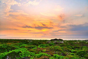 iʐ^|X^[  gƊԓ ߍ̒ 04 CeA A[g|X^[ EH[A[g Ǌ| Ǐ ItBX rO osp-253