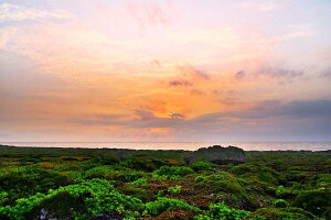 iʐ^pl  gƊԓ ߍ̒ 01 Xʂ̓ A[gpl EH[A[g Ǌ| Ǐ ͗lւ ͋C CeA  ht-059-m25