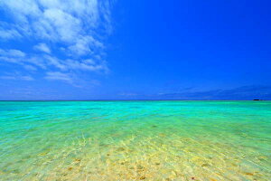 iʐ^|X^[  gƊԓ jVl 06 A[g|X^[ EH[A[g fBXvC CeA Ǌ| Ǐ ͗lւ ͋C ItBX rO  r[ osp-246