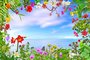 iʐ^pl  gƊԓ эC y[l 썑̉ԁX X[Vb^[ zi {^jJ v[g Mtg i ԗ j  Vz z a LO Nj HT-010-M30