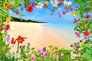 iʐ^pl  gƊԓ jVlX[Vb^[Ōzi Xʂ̓ Ԃ̉ v[g Mtg i ԗ j  Vz z a LO Nj HT-011-M30