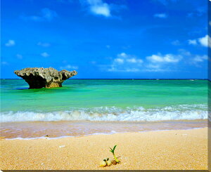 風景写真パネル 沖縄 波照間島 ニシ浜の白い雲と青い海と芽 側面画像 アートパネル ウォールデコ アート グラフィック インテリア ディスプレイ 壁掛け 壁飾り 額要らず 玄関 リビング オフ