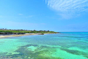 iʐ^|X^[  {× n 17ENDr[` 09 CeA Ǌ| Ǐ ͗lւ ͋C  rO _CjO ItBX  Myk-37-A