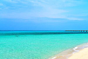 iʐ^|X^[  {× n 17ENDr[` 12 EH[A[g Ǌ| Ǐ CeA  v[g j Mtg i j Vzj zj Myk-41-A