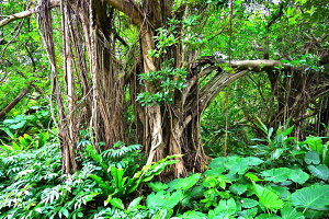 iʐ^pl  {Ó KW}ƃ^C 01 CeA OtBbN EH[A[g A[gpl ͗lւ ͋C  rO _CjO ItBX  r[ miya-002-B2