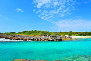 iʐ^|X^[  {× ɗǕ n̕l 05 Ǌ| Ǐ CeA  v[g j Mtg i Vzj zj Myk-20-A