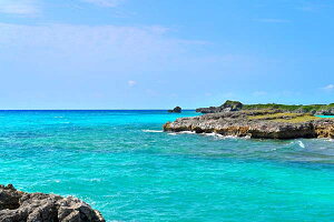 iʐ^pl  {× ɗǕ n̕l 06 A[gpl CeA Ǐ Ǌ| zv炸 ͗lւ ͋C  rO ItBX r[ v[g Mtg i ԗ 