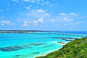 ���i�ʐ^�|�X�^�[ ���� �{�×� ���ԓ� ���{��W�]�� 02 �C���e���A �Ǌ|�� �Ǐ��� �͗l�ւ� ���͋C��� ���� ���r���O �_�C�j���O �I�t�B�X ���� Myk-26-A