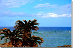 iʐ^pl  ԓ̊C CeA A[gpl OtBbNA[g EH[fR zv炸 Ǌ| Ǐ ͗lւ ͋C  ̎vo HAT-05-M12