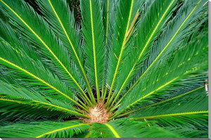 iʐ^pl  ԓ \ec {^jJ CeA A[gpl OtBbNA[g EH[fR zv炸 Ǌ| Ǐ ͗lւ ͋C  ̎vo HAT-11-M15