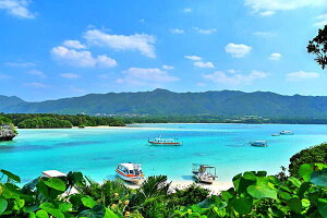 iʐ^pl  Ί_ 약p v[g Mtg i ԗ j  Vz z a LO Nj CeA Ǌ| Ǐ ͗lւ ͋C  IG-004-M25