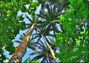 iʐ^pl  Ί_ ČMь 07 ʉ摜 {^jJ EH[fR A[gpl CeA zv炸 ^yXg[ Ǌ| Ǐ ͗lւ ͋C  rO 