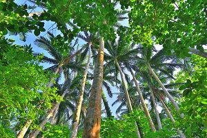 iʐ^pl  Ί_ ČMь04 {^jJ EH[fR A[gpl CeA zv炸 ^yXg[ Ǌ| Ǐ ͗lւ ͋C  rO _CjO It