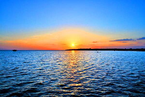 iʐ^pl   ɌÎV猩̏o06 o^ v[g Mtg i ԗ j  Vz z a LO Nj oki-002-M40