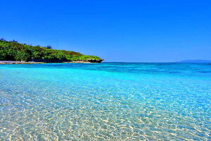 iʐ^|X^[  `ƂȂ̕l 02 EH[A[g Ǌ| Ǐ CeA  v[g j Mtg i C̕i|X^[ Vzj zj Krsm-08-A