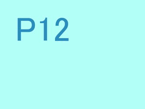 Ȃ̎Bʐ^plɂ܂I PNL-P12 ipl IWi I[_[Ch CeA fBXvC Ǌ| Ǐ ͗lւ ͋C rO ItBX  r[