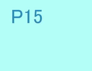 Ȃ̎Bʐ^plɂ܂I PNL-P15 CeA fBXvC Ǌ| Ǐ ͗lւ ͋C rO ItBX  r[