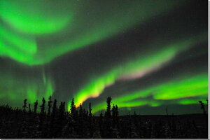 iʐ^pl AXJ tFAoNX I[ _I zI CeA A[gpl OtBbNA[g EH[fR ʐ^ pl Ǌ| Ǐ ͗lւ ͋C rO I