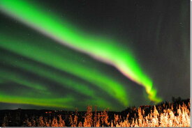 風景写真パネル アラスカ フェアバンクス オーロラ 神秘的 幻想的 インテリア プレゼント ギフト お礼 お祝い 結婚 新築 引っ越し 出産 誕生日 入学 卒業 成人 就職 クリスマス AUR-10-M12