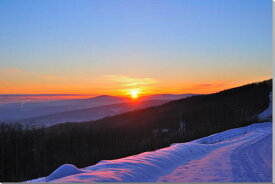 風景写真パネル アラスカ フェアバンクスの夕日 AUR-30-M25