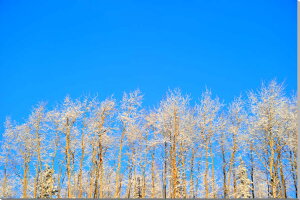 iʐ^pl AXJ X̖؁X CeA Ǌ| Ǐ ͗lւ ͋C A[gpl OtBbNA[g EH[fR Vzj zj j v[g Mtg AUR