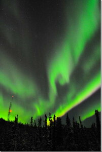 iʐ^pl AXJ tFAoNX I[ _I zI CeA A[gpl OtBbNA[g EH[fR ʐ^ pl Ǌ| Ǐ ͗lւ ͋C rO I