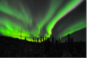 iʐ^pl AXJ tFAoNX I[ _I zI CeA A[gpl OtBbNA[g EH[fR ʐ^ pl Ǌ| Ǐ ͗lւ ͋C rO I