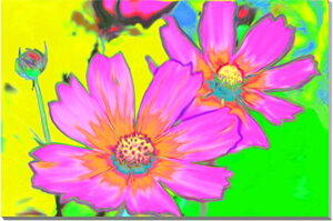 iʐ^pl RXX LoXn CGH CeA A[gpl v[g Mtg i ԗ j  Vz z a LO Nj CG-011-M10