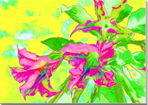 iʐ^pl G[gybg LoXn CGH ʉ摜 CeA A[gpl v[g Mtg i ԗ j  Vz z a LO Nj CG-009-B4sk