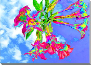 iʐ^pl G[gybg CGH LoXn {^jJ A[gpl CeA tH[gA[g pl ʐ^ OtBbN EH[fR v[g Mtg i ԗ 