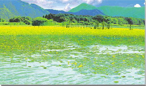 iʐ^pl  c ATU CGH CeA A[gpl fBXvC EH[fR pl ʐ^ v[g Mtg j  V oY a w  l LO CG-044-