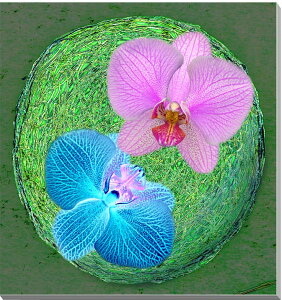 iʐ^pl Ӓ CGH  {^jJ OtBbN A[gpl CeA pl ʐ^ zv炸 Ǌ| Ǐ ͗lւ ͋C   ₵ q[O IV 