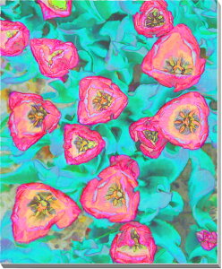 iʐ^pl `[bv CGH A[gpl CeA OtBbN fBXvC pl ʐ^ Ǐ Ǌ| zv炸 ͗lւ ͋C  vo rO _CjO It