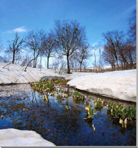 iʐ^pl R` R A[gpl CeA pl ʐ^ v[g Mtg i ԗ j  Vz z a LO Nj ̓ ̓ MID-31-S25