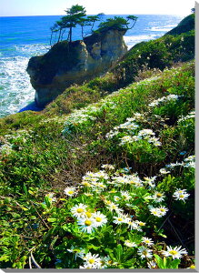 @le@iʐ^pl@ǏCeAɔiʐ^plBCeA fBXvC ͗lւ ^yXg[ i|X^[ɍœKBVzj zjv[g